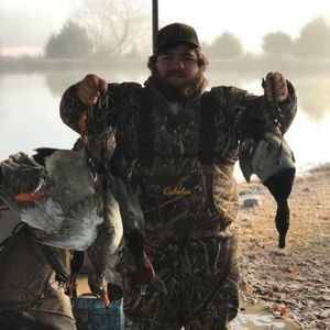 Meet your Posher, Wheeler